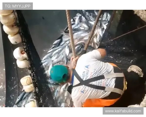 如何利用K8捕鱼的特殊道具提升捕鱼效率